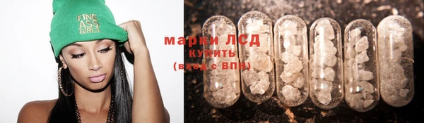 крисы Аркадак