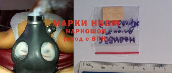 крисы Аркадак